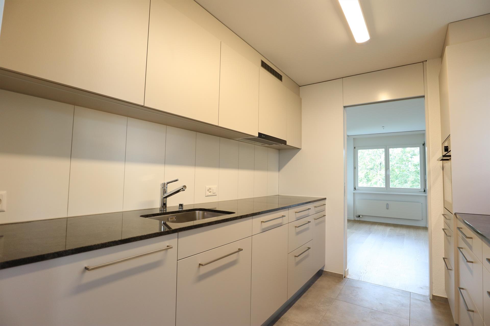 Neue moderne Küche