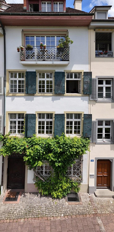 Bild Traumhafte Wohnung direkt am Rhein