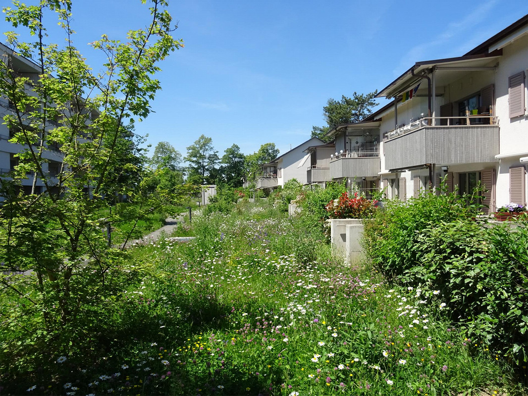 Bild 3.5-Zimmerwohnung (Genossenschaft)