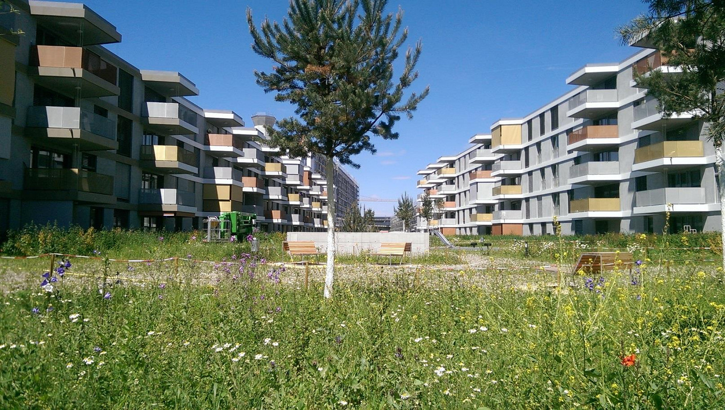 Bild Schöne von Licht durchflutete Wohnung in der Überbauung Erlenmatt