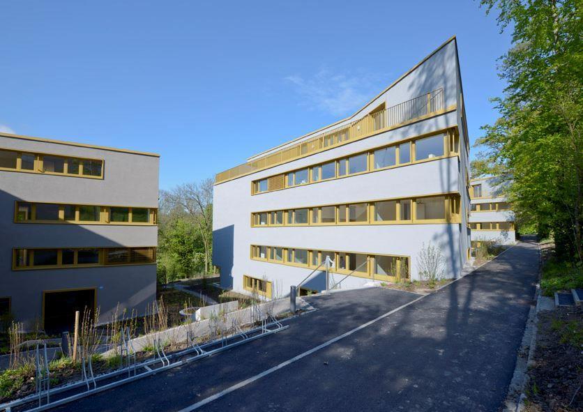 Bild Wohnen direkt an der Limmat!