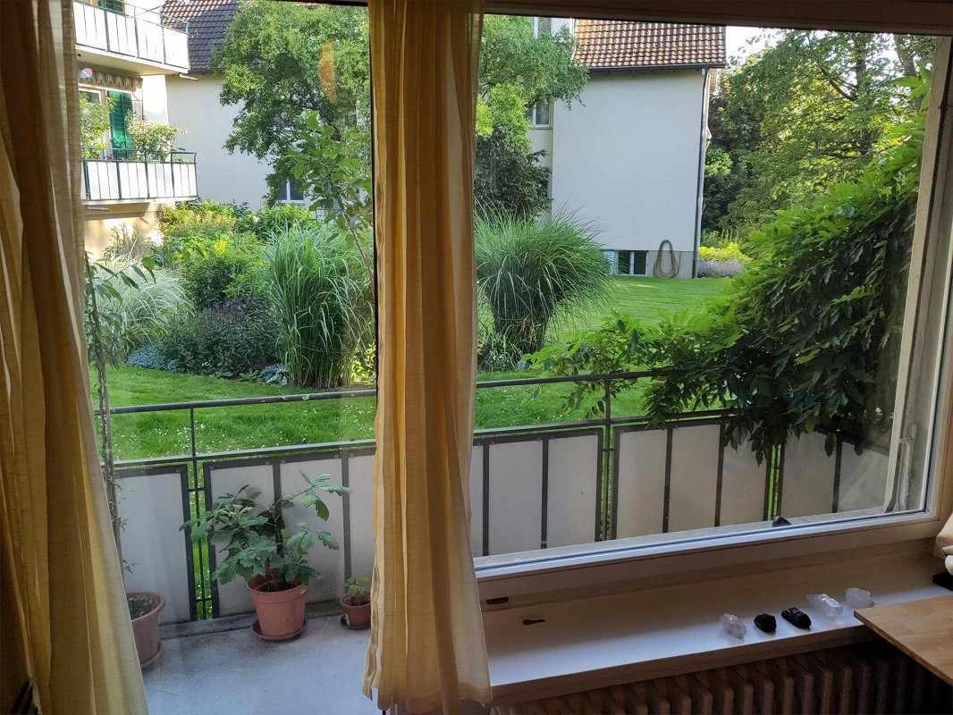 Bild 3.5 Zimmer Wohnung an ruhiger Lage im Grünen in Zürich Oberstrass