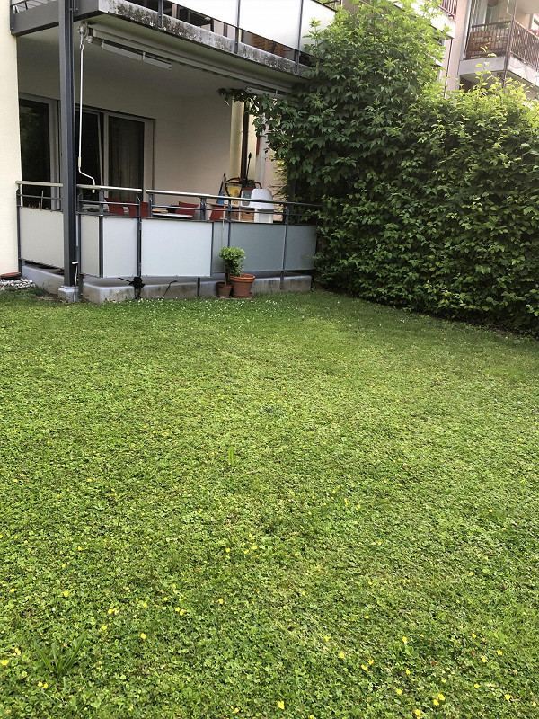 Bild Wunderschöne Wohnung mit Garten