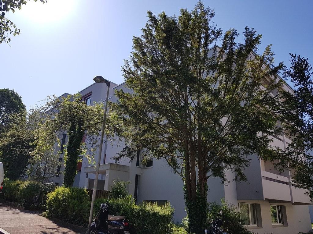 Bild Erste eigene Wohnung gesucht?