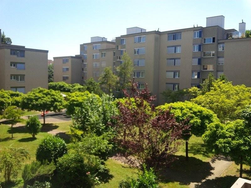 Bild Wohnen im Herzen von Altstetten - Befristete Wohnung bis 30.09.2027
