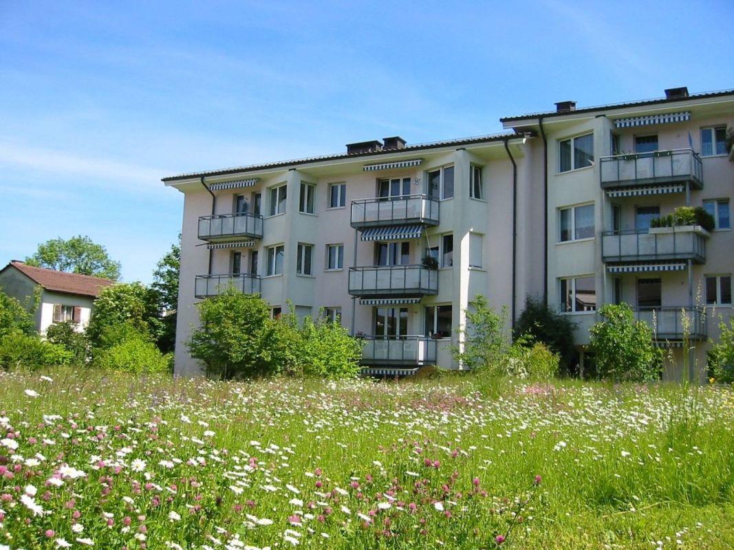 Bild Schöne und ruhige Wohnung