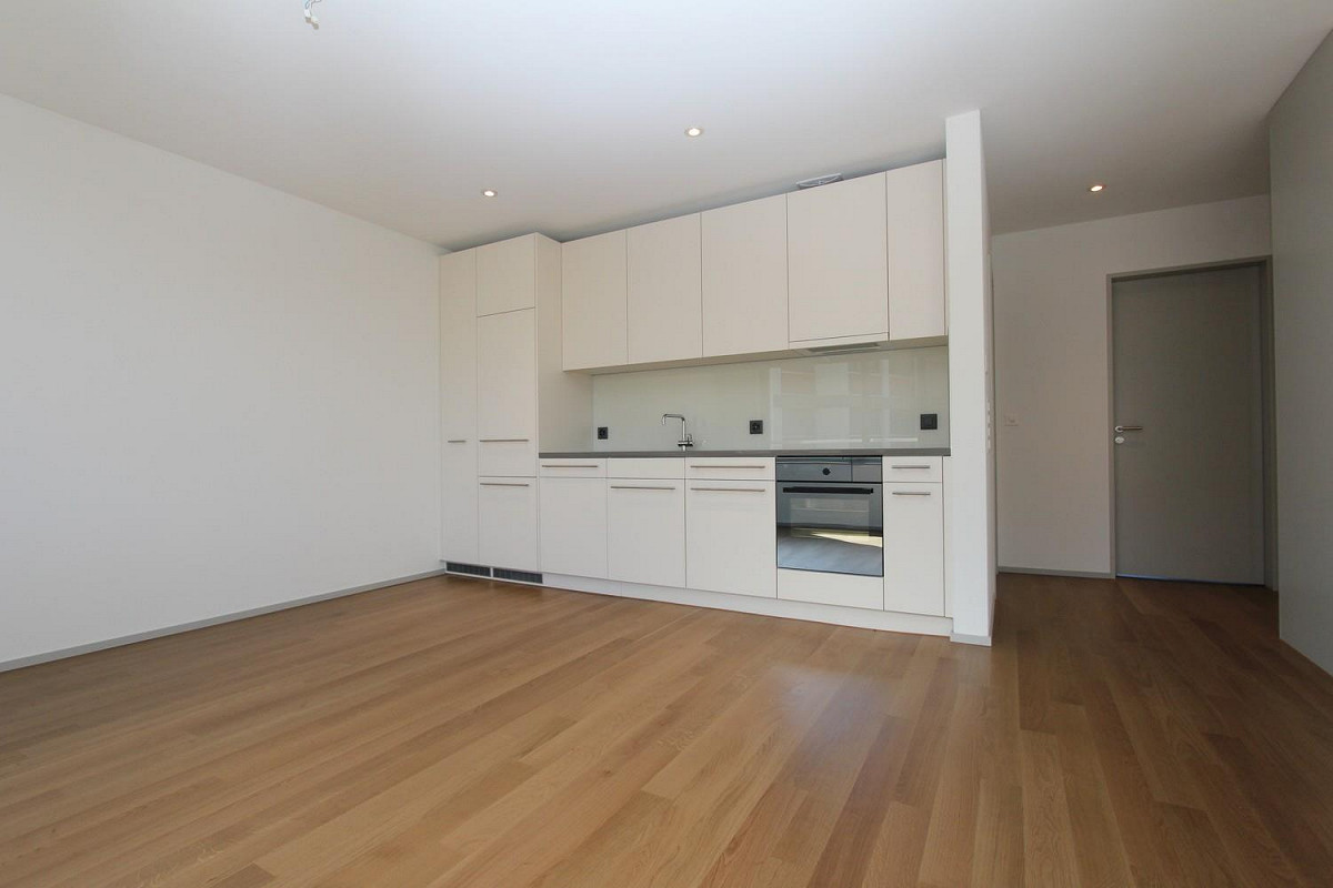 Bild Moderne Wohnung in Oerlikon